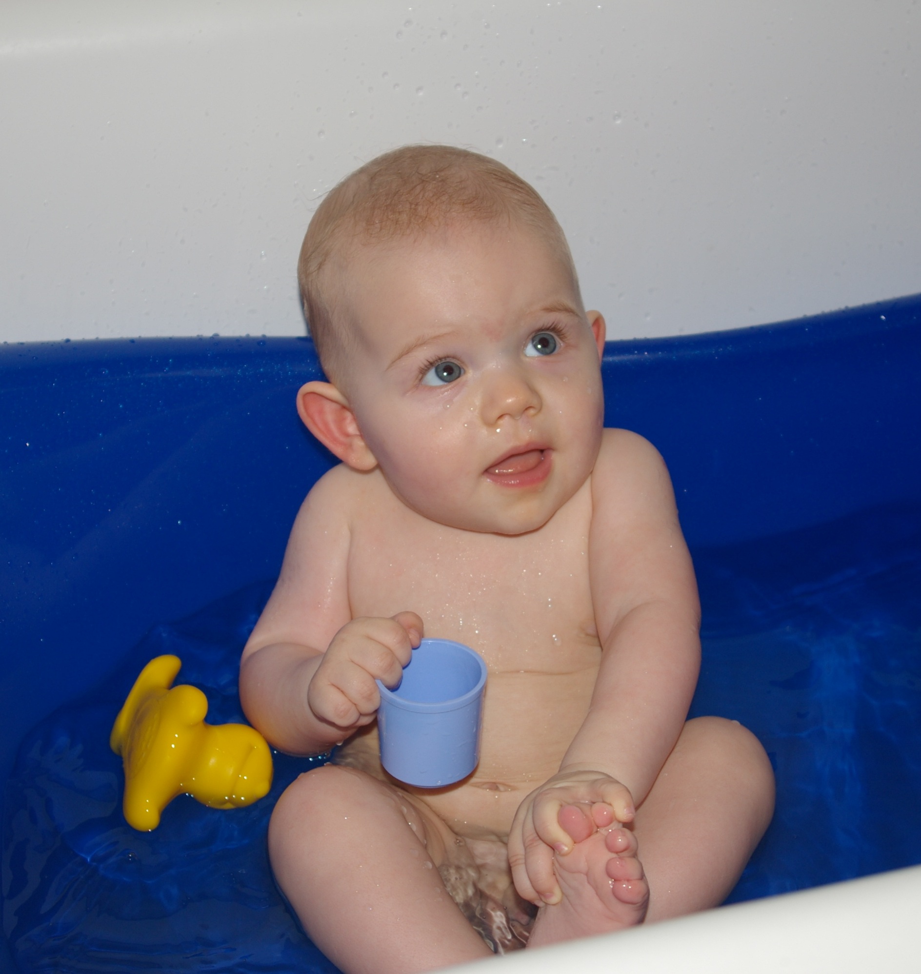 IMGP0248.JPG